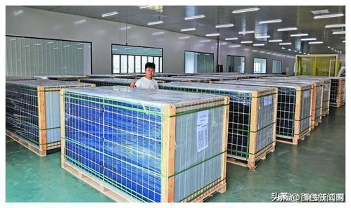 中南光电百色光伏装备产业园项目建成投产 点亮绿色能源新篇章
